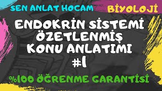 Endokri̇n Si̇stem Konu Anlatimi 1 Ayt Bi̇yoloji̇ 