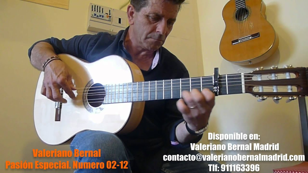 Guitarra flamenca Valeriano Bernal Pasión