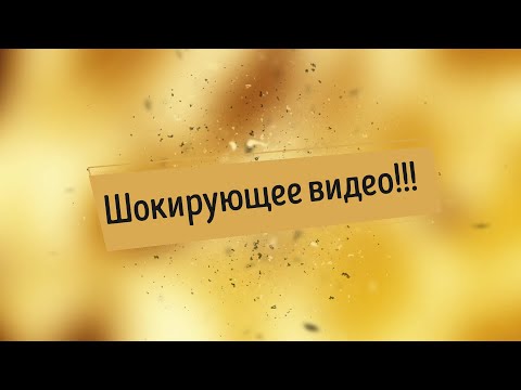 Шокирующее видео! Укусы блох