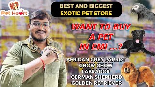 Best pet shop in the heart ❤ of Hyderabad ||EMI facility to buy a pet ? | Best quality pets #తెలుగు