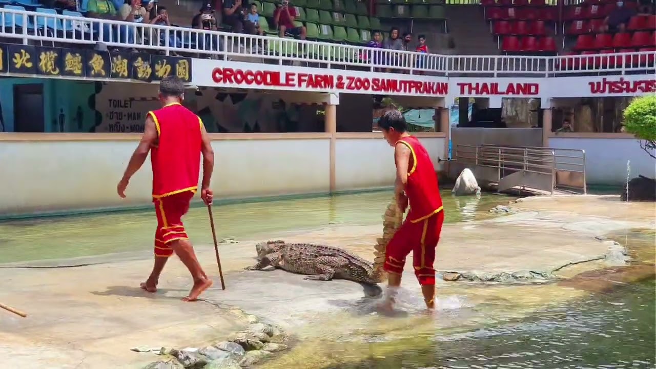 ●4K● 🇹🇭 Ano Thai 🇹🇭 Crocodile Farm & Zoo @ Samut Prakarn ♥️ EP.43 FEB 2022