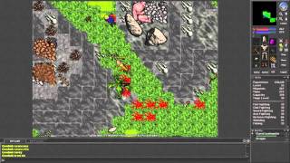 Tibia [7.2] Venore dragon hunt