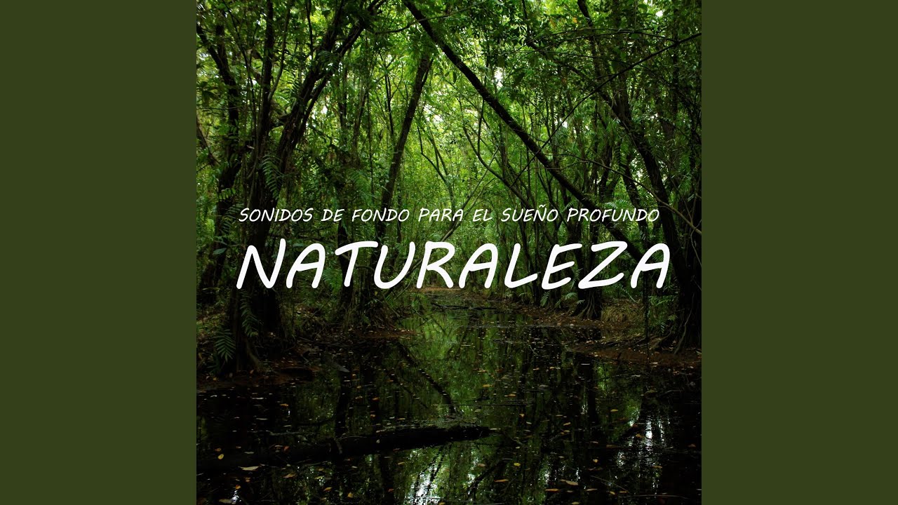 Sonidos Para El Sueno Profundo Naturaleza Pt 34 Youtube