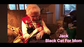 Christmas - Black cat For Mom Christmas - Black cat For Mom