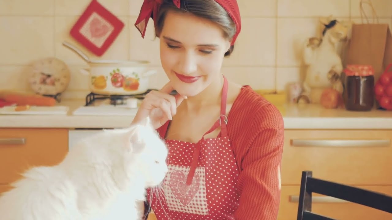 Ragdoll Cats: The History of the World's Most Chill Feline