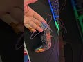 Modded zone controller updated and chip removed.