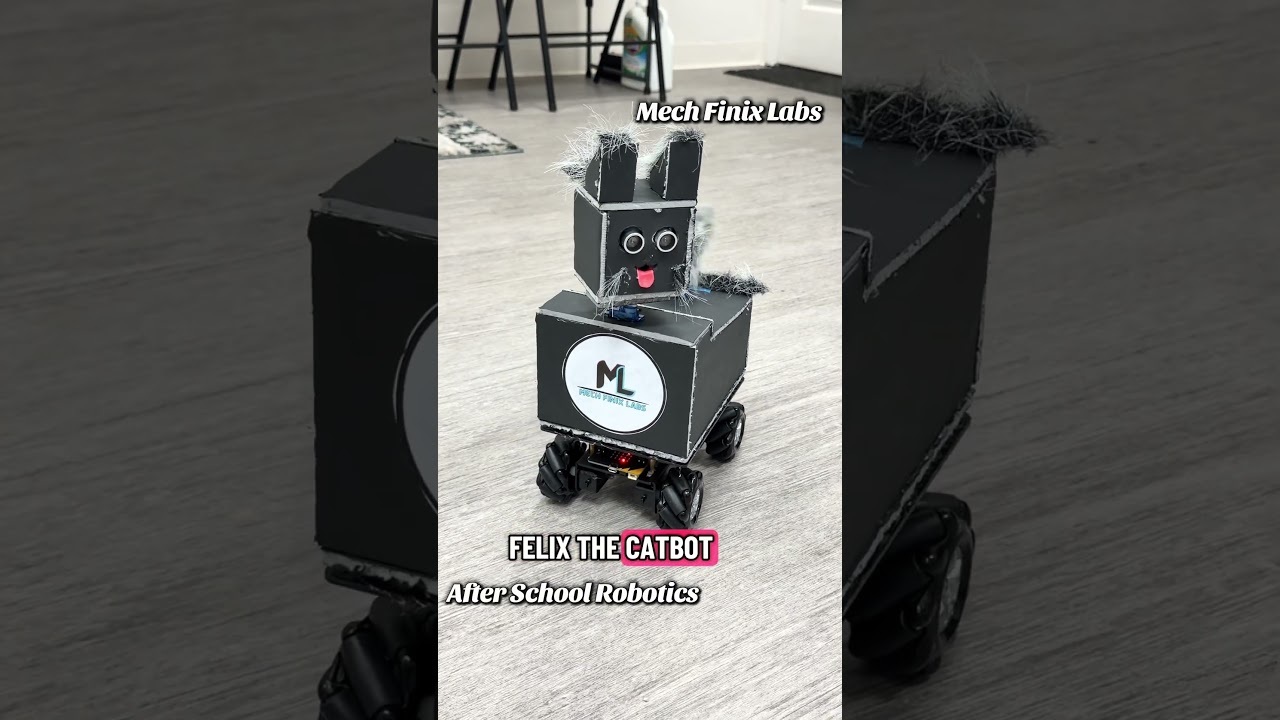 CatBot в лаборатории Mech Finix | Округ Сан-Хоакин