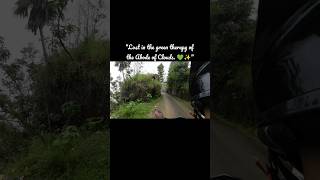 "Lost in the green therapy of the Abode of Clouds. 💚✨"#shorts