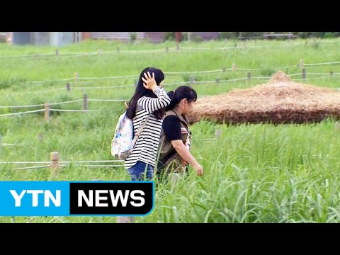 [날씨] 밤사이 중부 빗방울...내일 맑고 남부 더위 / YTN