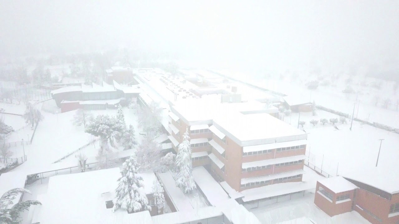 Filomena visita Retamar (music video)