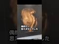 偶然?それとも…?じぃじと重なった瞬間 #赤ちゃん #baby #エコー動画