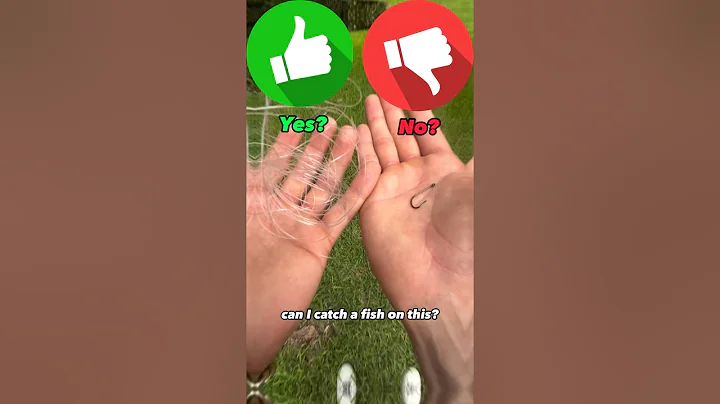 Can I Catch A Fish With Just Line And A Hook?