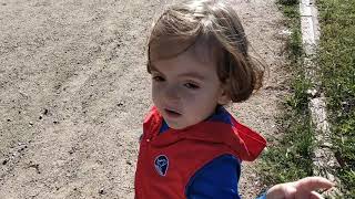 At Çiftliği Gezimiz, Midilli Atları, Atlara Yem Verdikhorse Farm Visit, Horse Feed