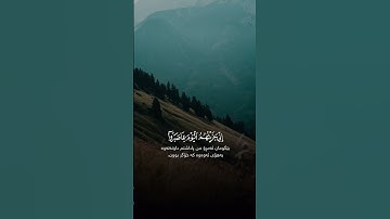 خمن اسم القارئ ؟ #القرآن_الكريم #راحة_نفسية #قرآن #المصحف #اكسبلور