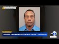 Tiger Woods Released On Bail Hours After Arrest On Suspicion Of DUI Tiger Woods Released On Bail Hours After Arrest On Suspicion Of DUI