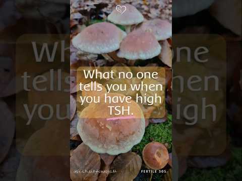 What no one