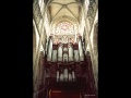 Johann Pachelbel Ciaccona In D Minor Walter Gatti Joue à St Maclou Rouen