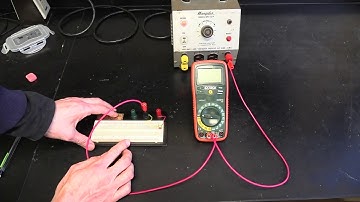 Tupaj: Regents and E&M Parallel Circuits Lab