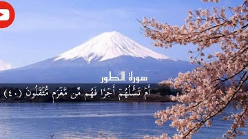 سورة الطور page 525 {القارئ عبدالرحمن المسعودي}