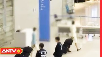 Vụ 2 tiếp viên hàng không vận chuyển tinh dầu cần sa: Các hãng hàng không đang xác minh | ANTV