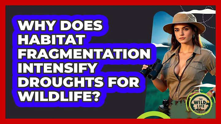 Why Does Habitat Fragmentation Intensify Droughts For Wildlife? - The Wild Life Explorer