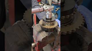 Timing Chain Rattle Repair Rebuild.