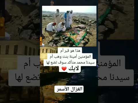 هذا هو قبر أم المؤمنين أمينة بنت وهب أم سيدنا محمد صلى الله عليه وسلم