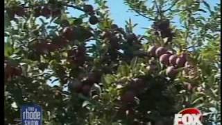 A Sweet Apple Crop in RI this Year