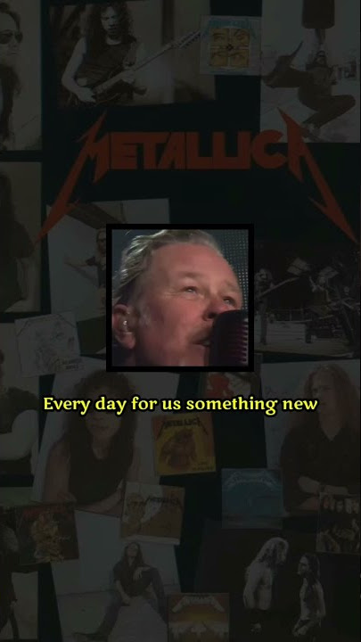Metallica - Nothing Else Matters | Story WA #shorts