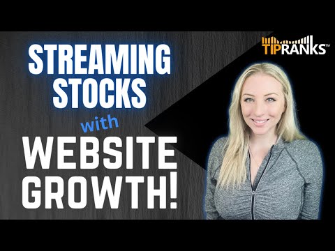Website Traffic Overview Report