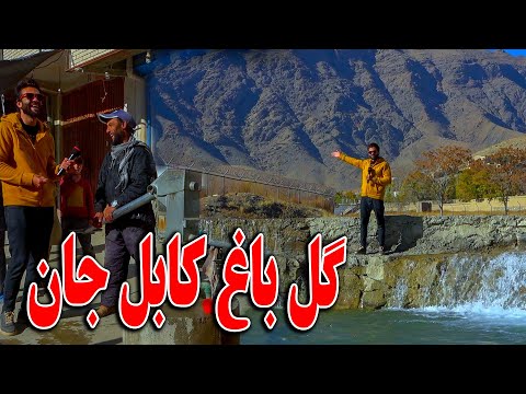 گزارش ظهور نوری از گلباغ کابل جان 