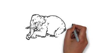 Elephant Rope Mindset | Inspiring Story