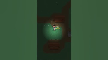 Bug of the Day: Black Widow