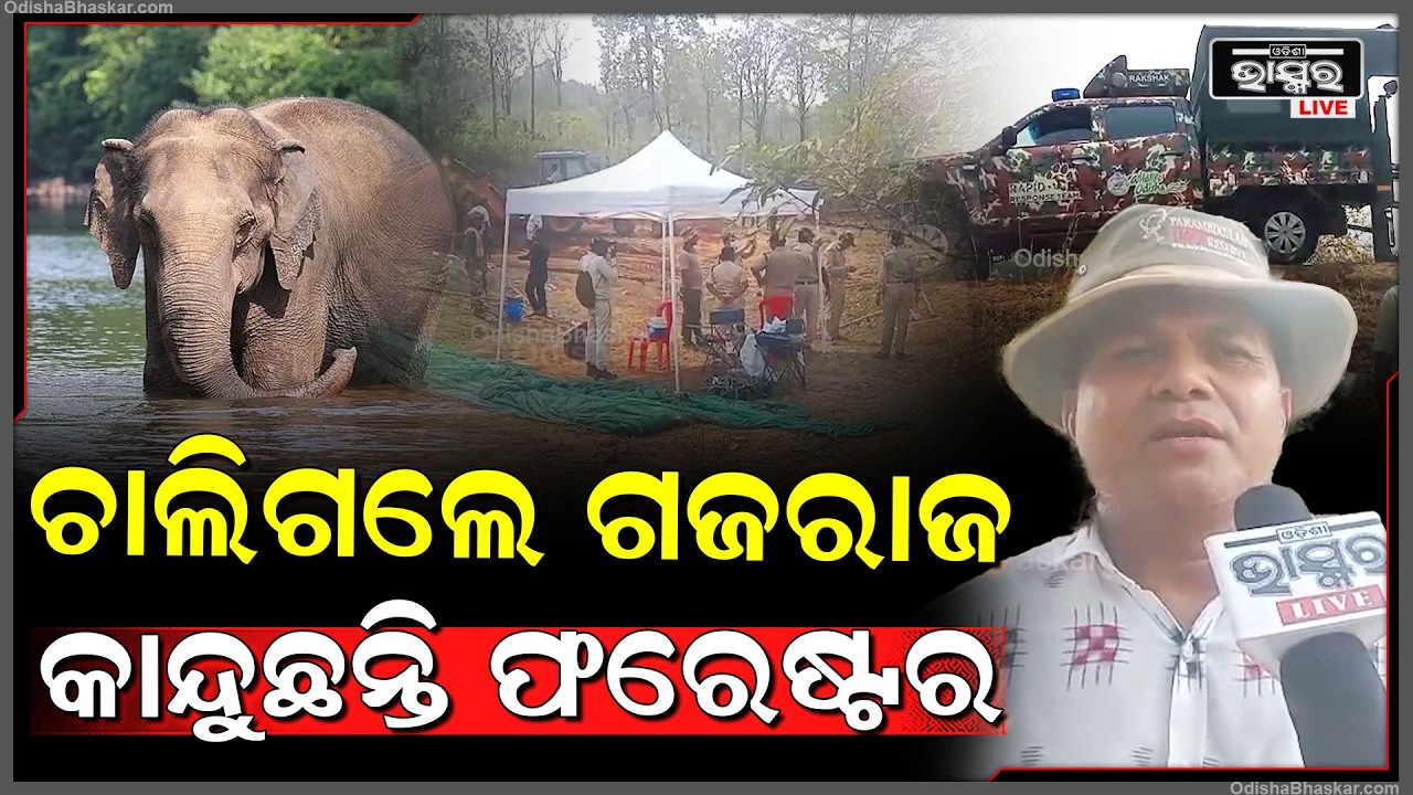 ଚିକିତ୍ସାଧିନ ଅବସ୍ଥା ରେ ଚାଲିଗଲେ ଗଜରାଜ, କାନ୍ଦୁଛନ୍ତି ଫରେଷ୍ଟର  I