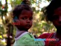Pesitcides create misery Muthalamada:Nalla Mannu