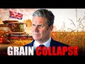 UK Government SHOCKED Over Wheat and Grain Harvest Failures Nationwide