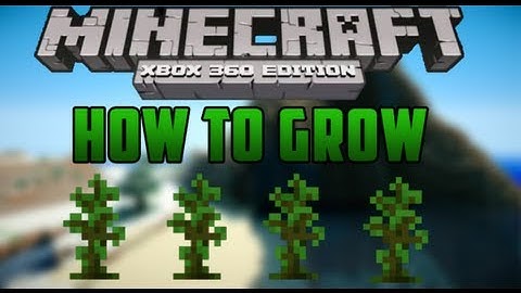 How To Grow Jungle Trees - Minecraft (Xbox 360)