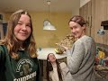 I Made Thanksgiving Dinner at a Hostel (and other adventures)