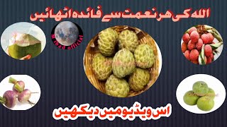 اللۀکی ھر نعمت سے فائدہ اٹھائیں کس طرح اس وڈیو میں دیکھیں