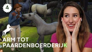 Omg een veulentje geboren!!! screenshot 1