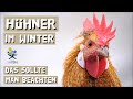 Hühner sicher über den Winter bringen - so überwinterst du deine Hühner