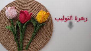 زهرة التوليب الجميلة 🌷