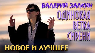 Валерий Залкин - Одинокая ветка сирени. Новое и лучшее | Русский Шансон