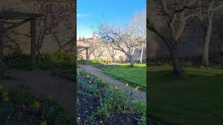 Spring Sunshine in Dunster Village Gardens | Scenic Views | 14th March 2023