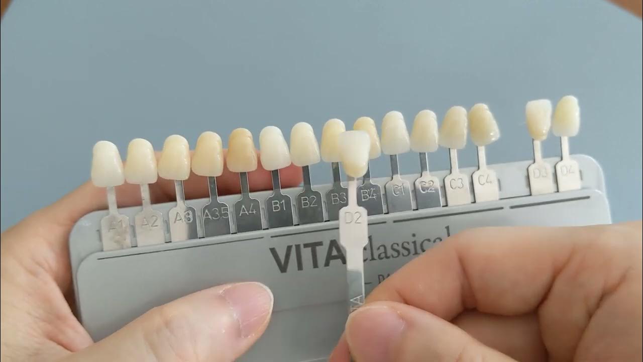 D2 Tooth Color YouTube