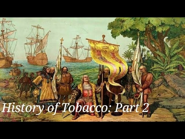 velo tobacco how to use VELO Nicotine Pouches: What They Are & How They Work
