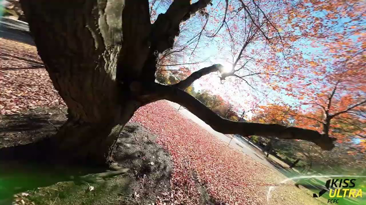 FPV Freestyle Proximity Hook v2.