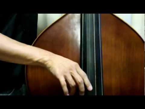 Upright bass strings - YouTube