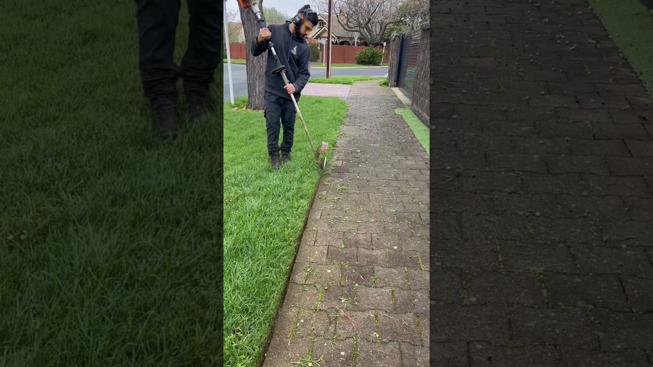 Sharp lines and straight edges, making the lawns of Adelaide stand out 🤩 