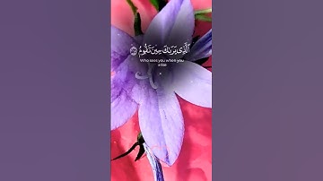 Surah Ash-Shu'ara, verse 217 to verse 220سورة الشعراء أية ٢١٧ الي أية